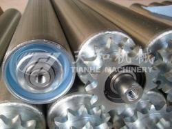 TH2321型 鋼(gang)制雙鏈輥(gǔn)筒